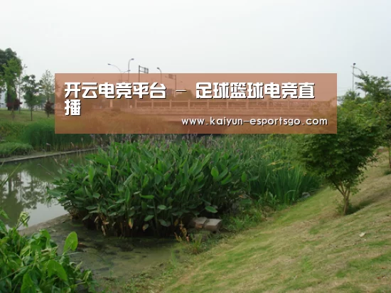 案例展示四(图1)