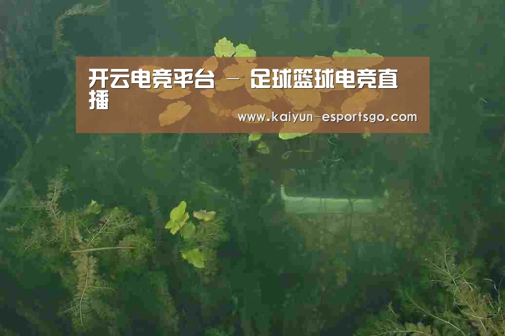 案例展示三(图1)