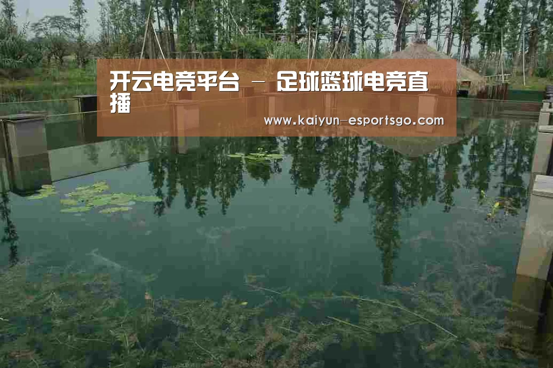 案例展示二(图1)