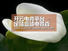 产品名称七