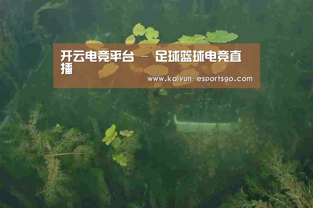 案例展示三
