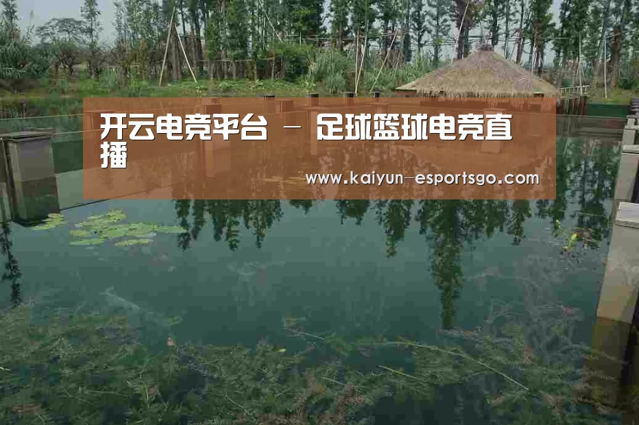 案例展示二