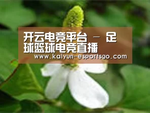 产品名称三