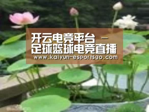 产品名称一