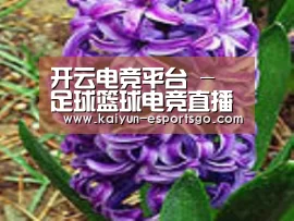 产品名称八