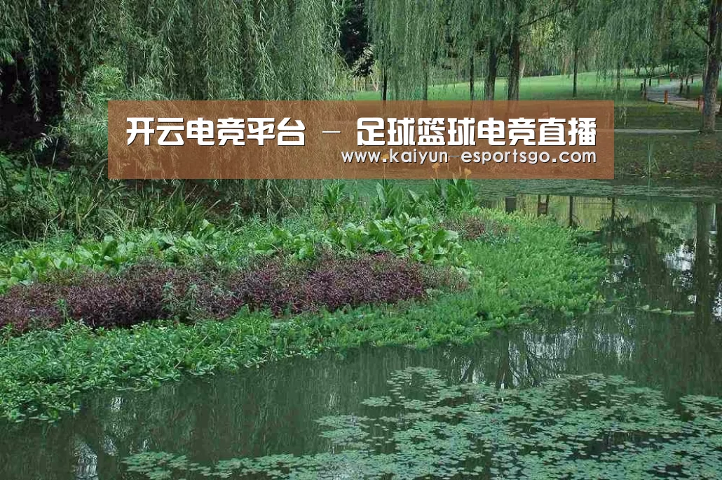 案例展示一