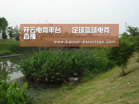 案例展示四