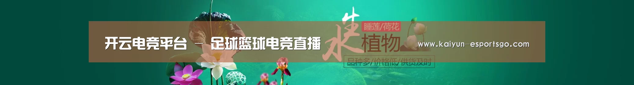 鲜花水草花卉网站模板
