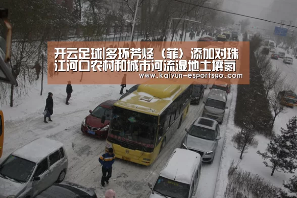 开云足球|多环芳烃(菲)添加对珠江河口农村和城市河流湿地土壤氮矿化过程的影响(图1) 开云篮球