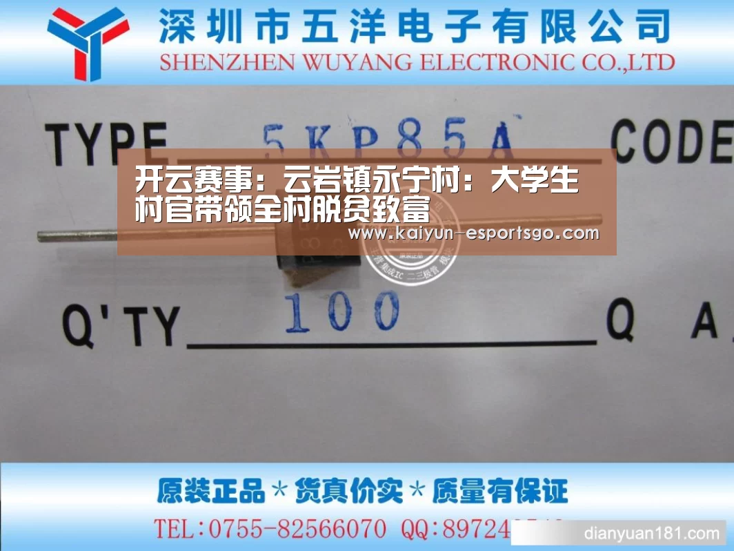 开云赛事:云岩镇永宁村:大学生村官带领全村脱贫致富(图1) 开云体育