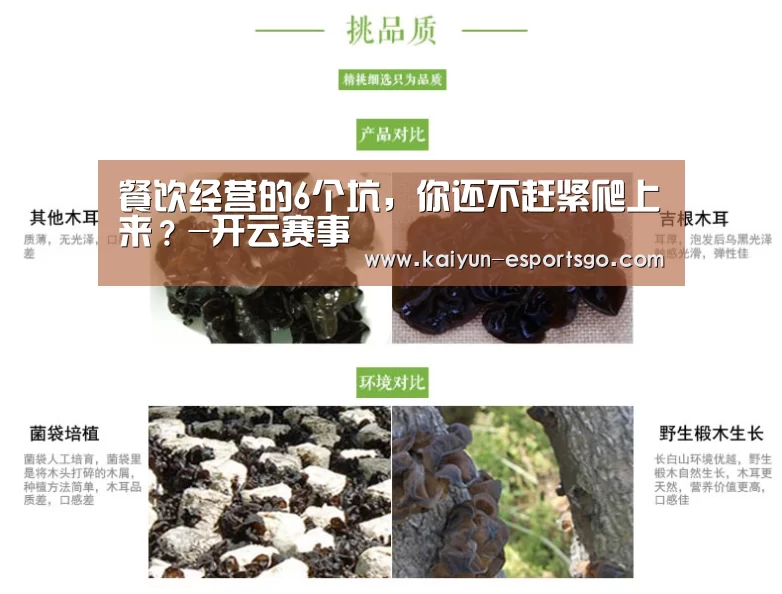 开云赛事