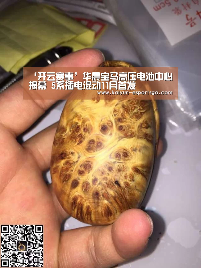 ‘开云赛事’华晨宝马高压电池中心揭幕 5系插电混动11月首发(图2) 开云篮球
