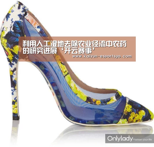 利用人工湿地去除农业径流中农药的研究进展‘开云赛事’(图1) 开云篮球
