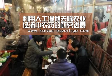 利用人工湿地去除农业径流中农药的研究进展‘开云赛事’(图2) 开云足球