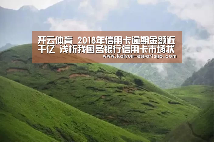 开云体育_2018年信用卡逾期金额近千亿 浅析我国各银行信用卡市场状况(图1) 开云足球