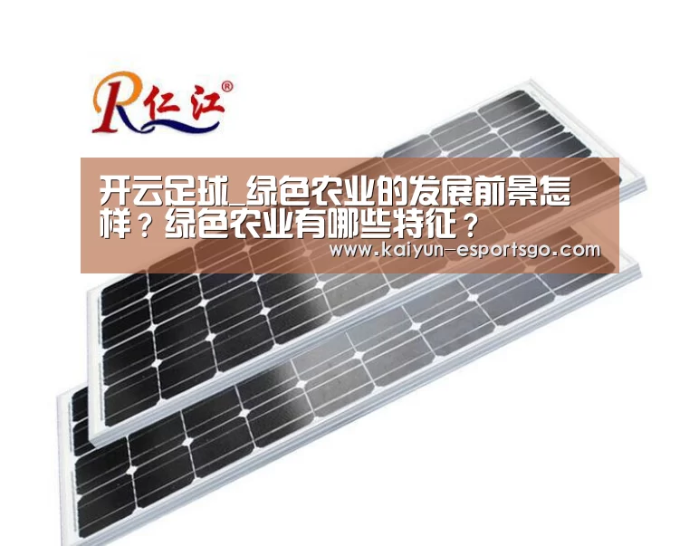 开云足球_绿色农业的发展前景怎样?绿色农业有哪些特征?(图2) 开云篮球