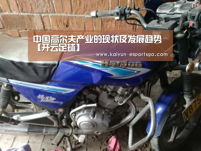 中国高尔夫产业的现状及发展趋势【开云足球】(图3) 开云体育