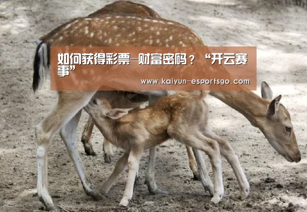 如何获得彩票-财富密码?“开云赛事”(图1) 开云足球