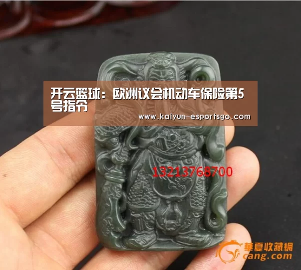 开云篮球:欧洲议会机动车保险第5号指令(图3) 开云体育